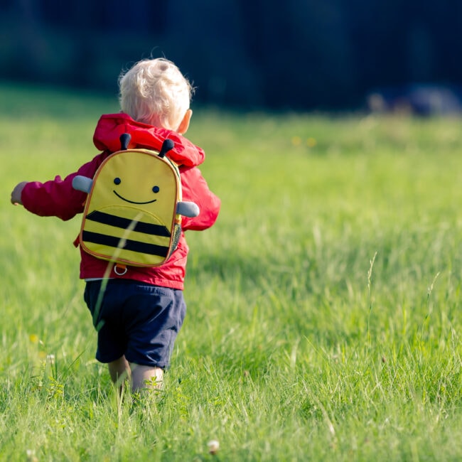 Baby,Boy,Hiking,With,Backpack,On,Green,Meadow.,Young,Child